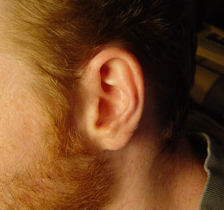 oreja.jpg